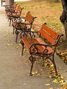 Wooden bench in the city park alley on a warm autumn day Royalty Free Stock Photo