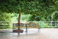 Wooden bench in the city park - empty bench for rest with tree background Royalty Free Stock Photo