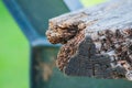 A wooden bench in a city park has become unusable due to the impact of natural factors such as humidity, fungal