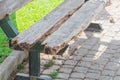 A wooden bench in a city park has become unusable due to the impact of natural factors such as humidity, fungal