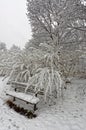 A wooden bench covered with thick snow with frozen ferns and trees in the background Royalty Free Stock Photo