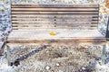 Wooden bench with fallen leaf covered with snow Royalty Free Stock Photo