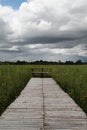 Wooden bench on the flower field. Royalty Free Stock Photo