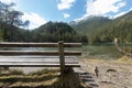 wooden bench forest Fernsteinsee Tyrol mountain lake relaxing