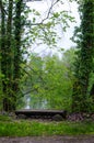 Wooden bench in a forest, Illkirch Royalty Free Stock Photo