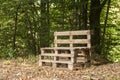 Wooden bench in forest Royalty Free Stock Photo