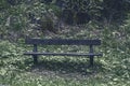 Wooden Bench in a forest Royalty Free Stock Photo