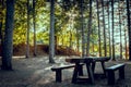 Wooden bench in the forest.