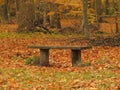 Wooden bench in the forrest in autumn Royalty Free Stock Photo