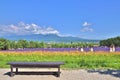 Wooden bench in front of rainbow flower field Royalty Free Stock Photo