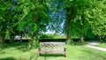 Wooden bench in front of tall woodland trees