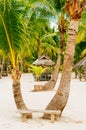 Wooden bench in front of two palms on the white coral sand beach Royalty Free Stock Photo