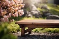 Wooden Bench in Garden with Pink Flowers at Bright Day Royalty Free Stock Photo
