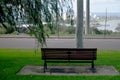 Wooden bench in garden at viewpoint of Kings Park and Botanic Garden in Perth, Australia