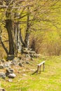 Wooden bench on grass near trees