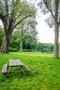 Wooden bench on green grass at Haagse Bos, forest in The Hague