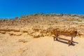 Wooden bench on the hillside facing the Mediterranean Sea for contemplation in Cape Greco. Captured in September 2023