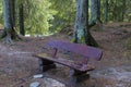 Wooden bench for rest in the forest. Demanovska valley. Slovakia