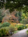 Wooden bench by the lake at Stourhead National Trust property near Warminster in Wiltshire UK. Photographed in autumn.