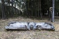 A wooden bench made from the trunk of a fallen tree in the shape of a Russian bear in the Vshivaya Gorka park in Kirzhach,