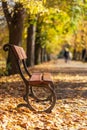 A wooden bench with metal elements stands on the path in the park among the trees. Landscape with autumn sun and shadows Royalty Free Stock Photo