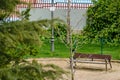 Common blackbird perched on a tree branch with a bench behind