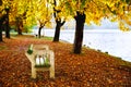 Wooden bench in nature on background of autumn forest and lake. Royalty Free Stock Photo