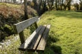 Wooden bench in nature