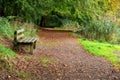 Wooden bench in a nature park in Northern Ireland. Nice day in early autumn, natural background, outdoors