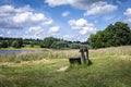 Wooden bench near Bewl Water