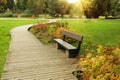 Wooden bench near pathway in beautiful public city park on autumn day Royalty Free Stock Photo