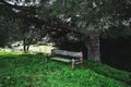 A wooden bench near a tree in a park Royalty Free Stock Photo