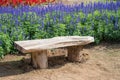 Wooden bench in outdoor colorful blooming flower garden background. Relaxation in green nature city park Royalty Free Stock Photo