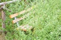 Wooden bench overcome by weeds in a abandoned public park Royalty Free Stock Photo