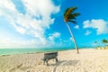 Wooden bench and palm tree by the sea in Florida Keys Royalty Free Stock Photo