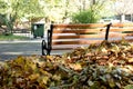 Wooden bench in the park in autumn. Royalty Free Stock Photo