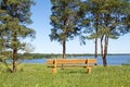 Wooden bench at park with lake view Royalty Free Stock Photo