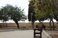 Wooden bench in park, malta, valetta, Royalty Free Stock Photo