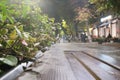 Wooden bench in the park at night with green bushes Royalty Free Stock Photo