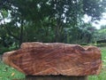 Wooden benches in the garden.