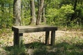 The wooden bench is in the park somewhat isolated from many things. Royalty Free Stock Photo