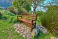 A wooden bench on a pathway in a public park. A quiet place to enjoy nature and the peace it has to offer. Find