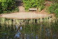 A wooden bench on the pond among bushes and trees2 Royalty Free Stock Photo