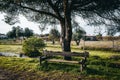 A wooden bench in a public park Royalty Free Stock Photo