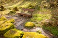 Wooden bench in a public park in spring at sunset Royalty Free Stock Photo