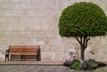 Wooden Bench and a Rounded Tree against Sillar Stone Wall, Arequipa, Peru, South America Royalty Free Stock Photo