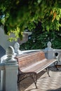 Wooden bench in the shade of tall trees in the Park on a Sunny summer day Royalty Free Stock Photo