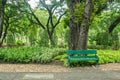 Wooden bench at sidewalk in public park to sit under the trees for relaxation Royalty Free Stock Photo