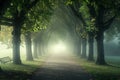 A wooden bench sits amidst a dense forest on a foggy day, Misty morning in a tree alley within a peaceful park, AI Generated Royalty Free Stock Photo