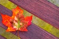 Wooden bench with small bouquet of autumn maple leaves